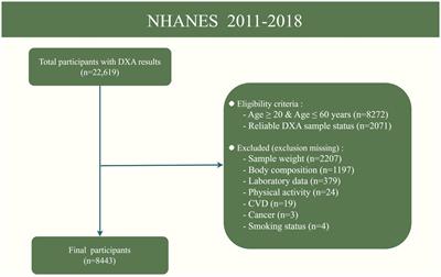 Association between dietary vitamin D intake and low muscle mass in US adults: results from NHANES 2011–2018